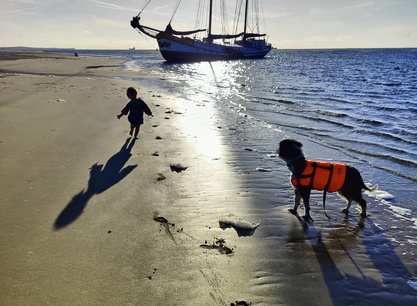 droogvallen kind hond.jpg