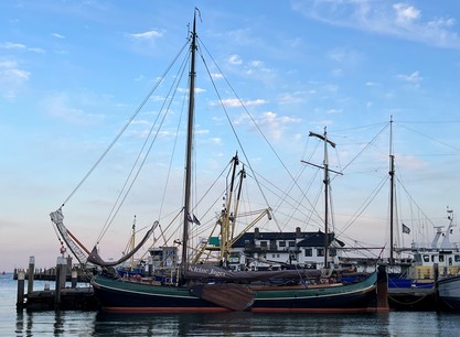 555.jpg