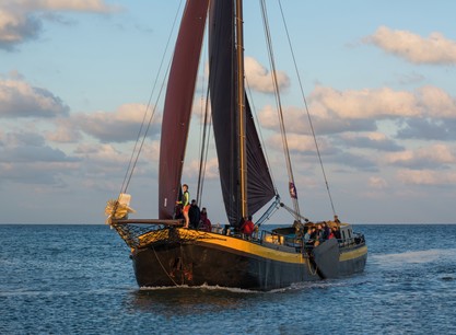 Vertrouwen harlingen 2026 - web.jpg