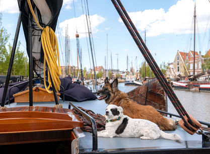 Schip_Poolster_door_Evie_Stroomer_28.jpg