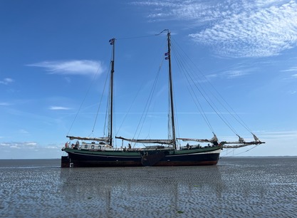 Grote Jager drooggevallen op het Wad zijaanzicht.jpg