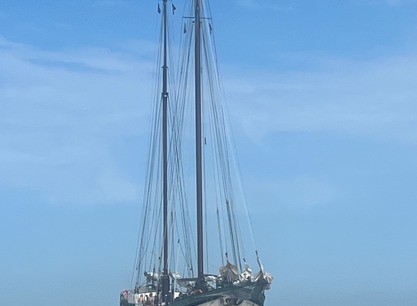 Grote Jager drooggevallen op het Wad vooraanzicht.jpg