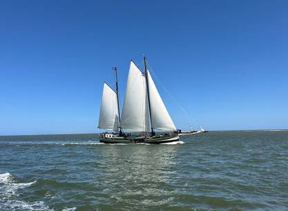 Grote Jager zeilend op het Wad 01.JPG