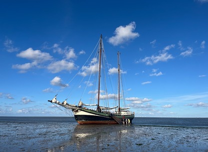 grote-jager-drooggevallen-onder-blauwe-lucht.jpg