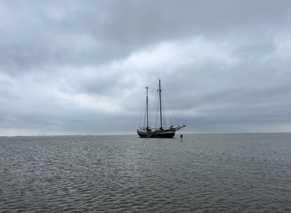 grote-jager-droogvallen-op-het-wad.jpg