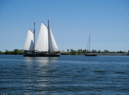grote-jager-zeilend-op-het-water.jpg