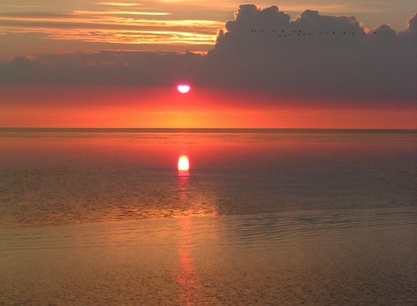 100_0051_thumb.jpg