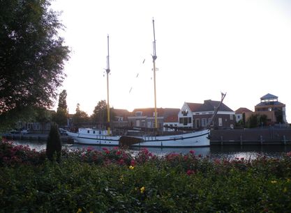 Zeemeeuw (24).JPG