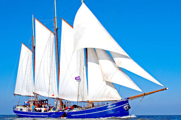 School Trip - Sailing Around the IJsselmeer: A School Trip Full of Experiences