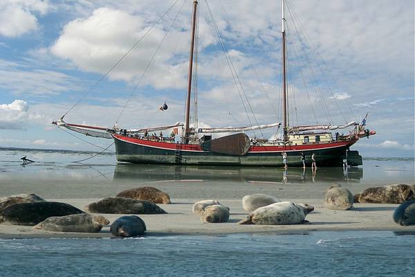 Sailing with skipper - Experiences Around the IJsselmeer