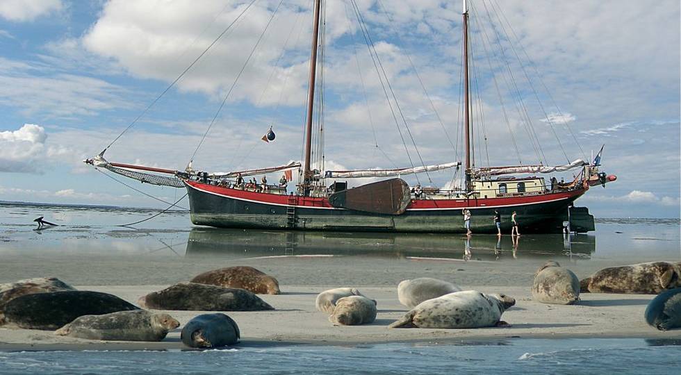 Sustainably - Sustainability in Sailing with Holland Sail