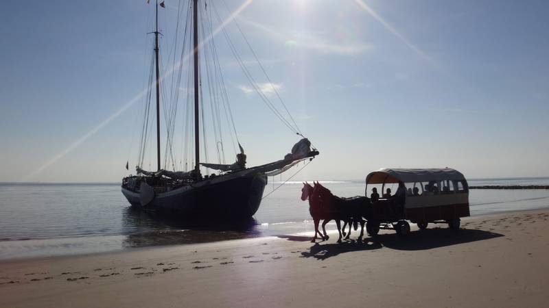 Ameland - Das Beste, was Sie auf Ameland unternehmen können
