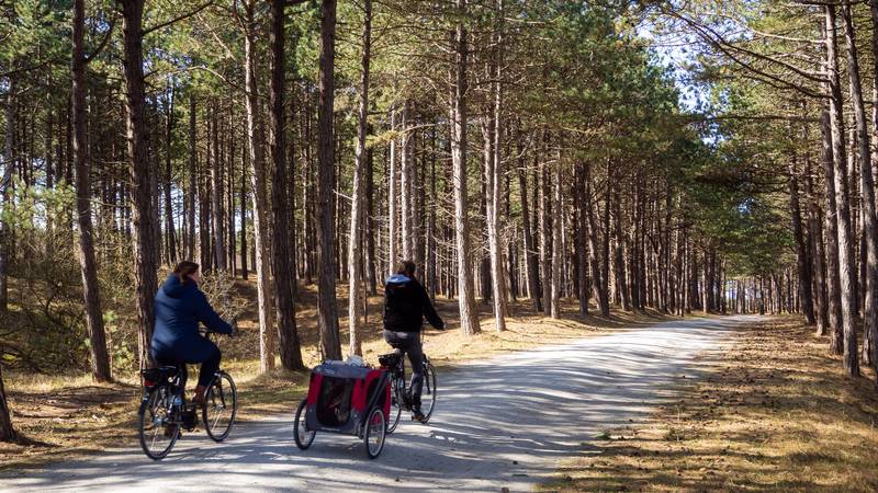 Terschelling - Die besten Aktivitäten auf Terschelling